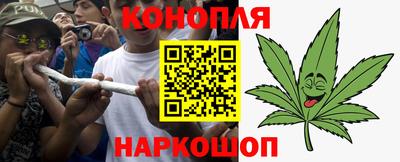 сатива Комсомольск-на-Амуре